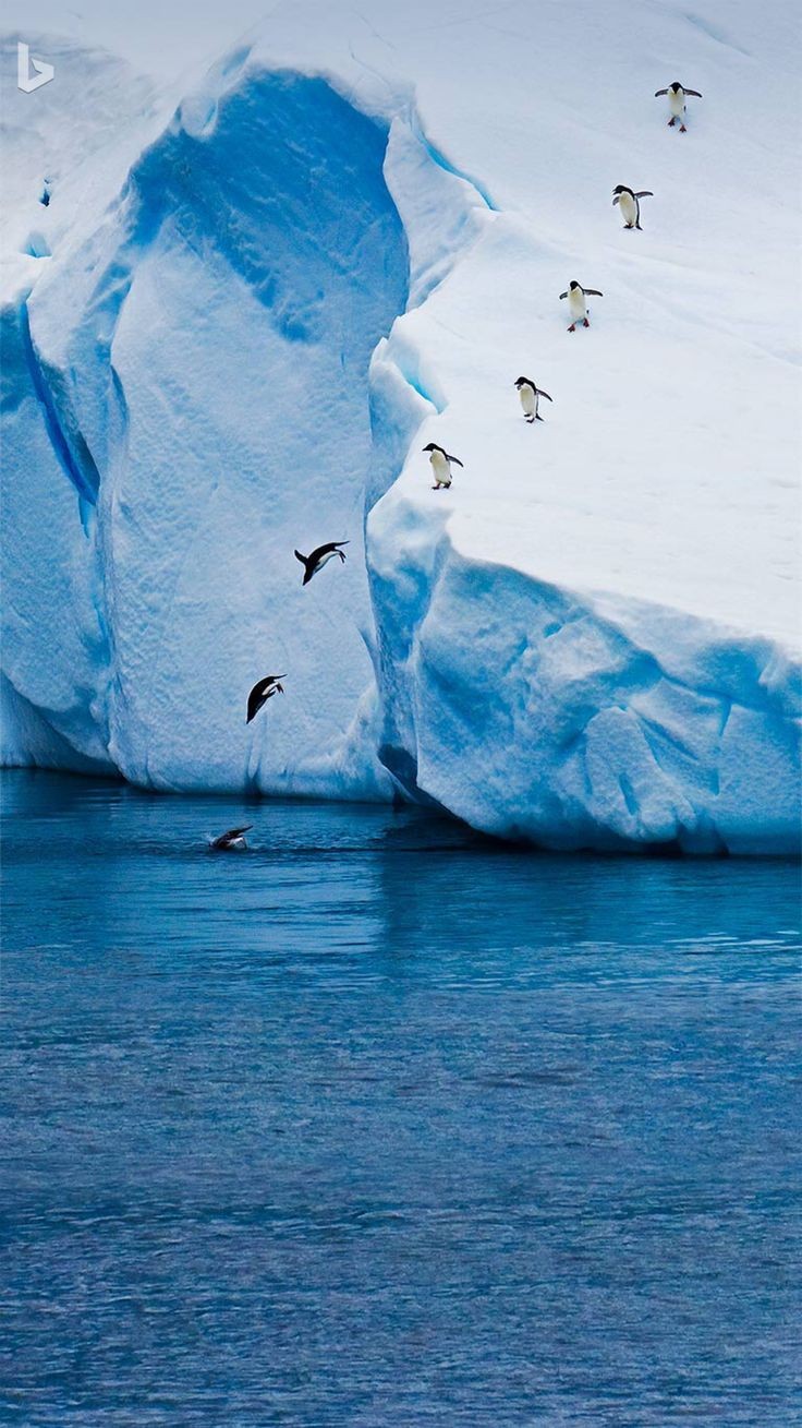 📽️ Dünyanın ucundaki gizemli kıta: Antarktika’nın altında ne var?